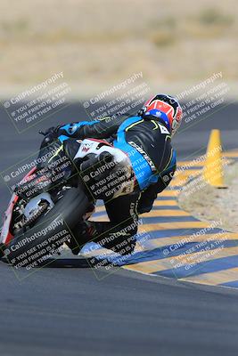 media/May-13-2023-SoCal Trackdays (Sat) [[8a473a8fd1]]/Turn 11 Backside (945am)/